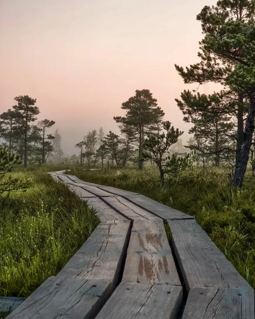 Kemeri National Park - Latvia,latvian women