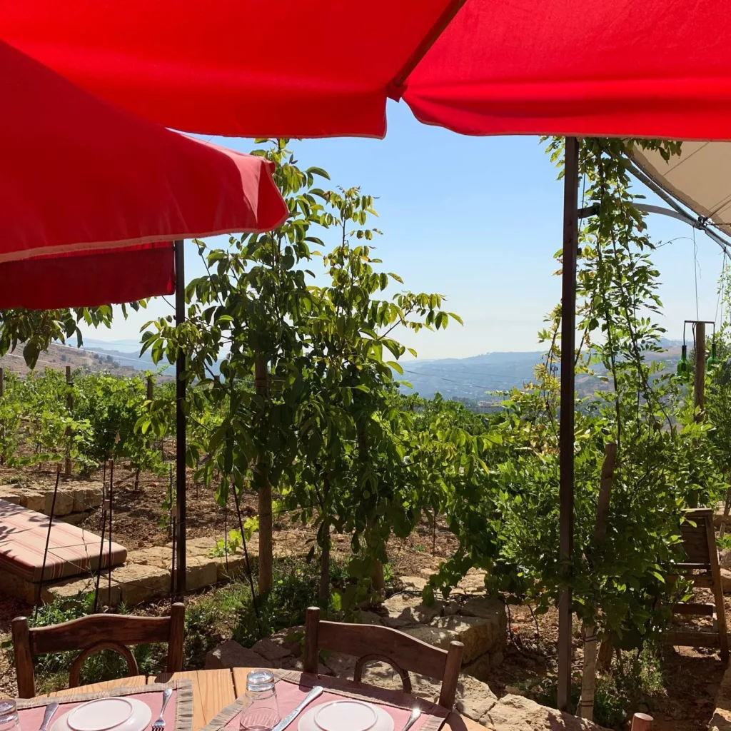 Massaya winery Faqra lebanon 1 - wineries,lebanon