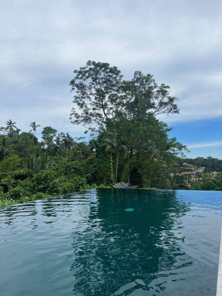 Alila Ubud pool