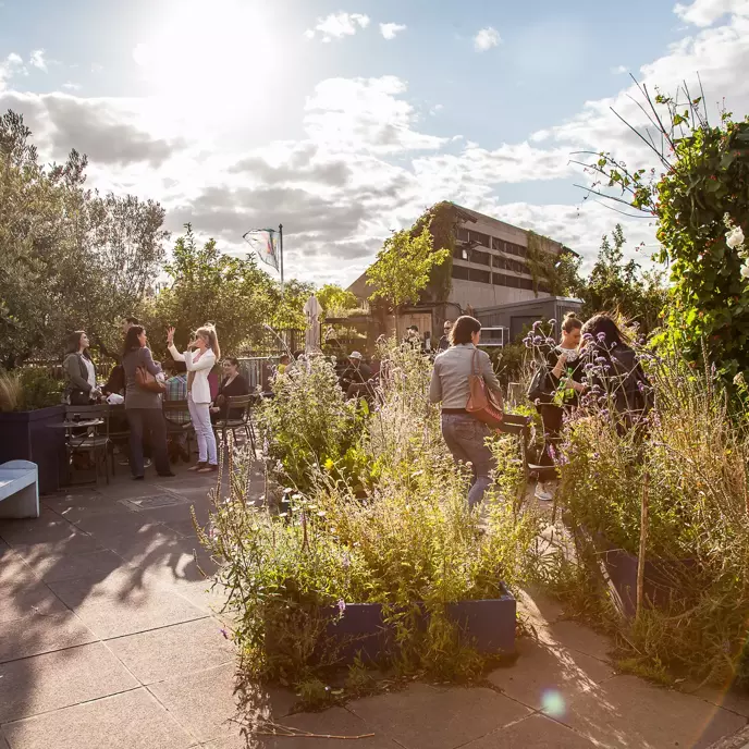 Queen Elizabeth Hall Roof Garden - Rooftop Bars in London