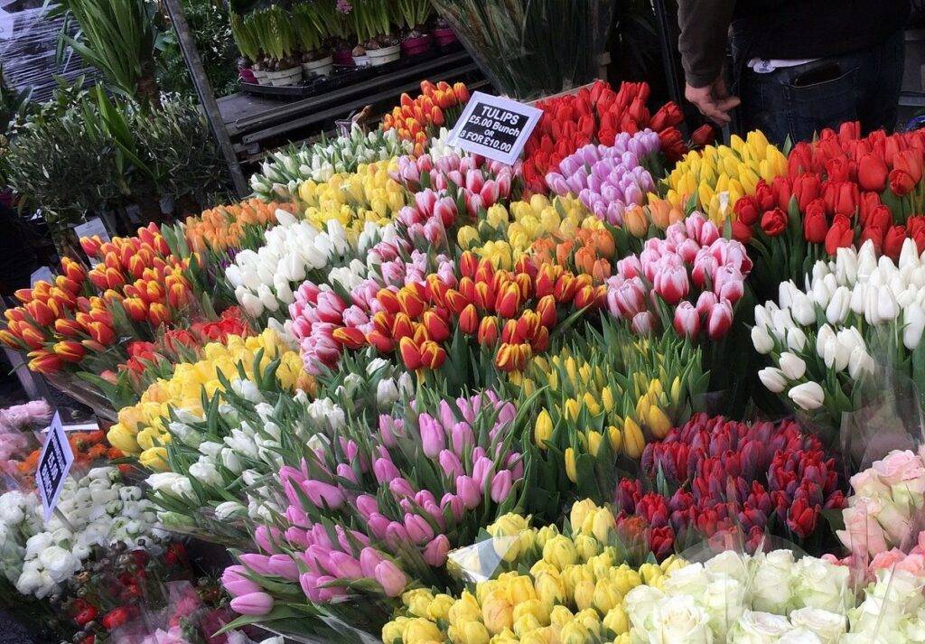 Columbia Road Flower Market 1 - best photo spots in London